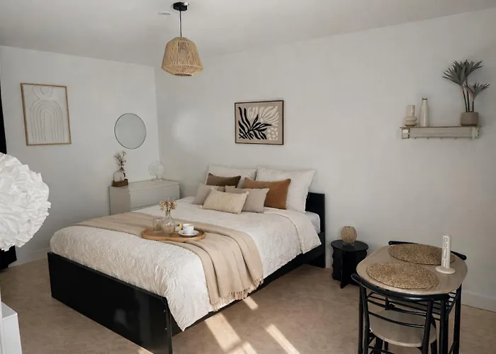 Le Cocon Strasbourgeois Apartment