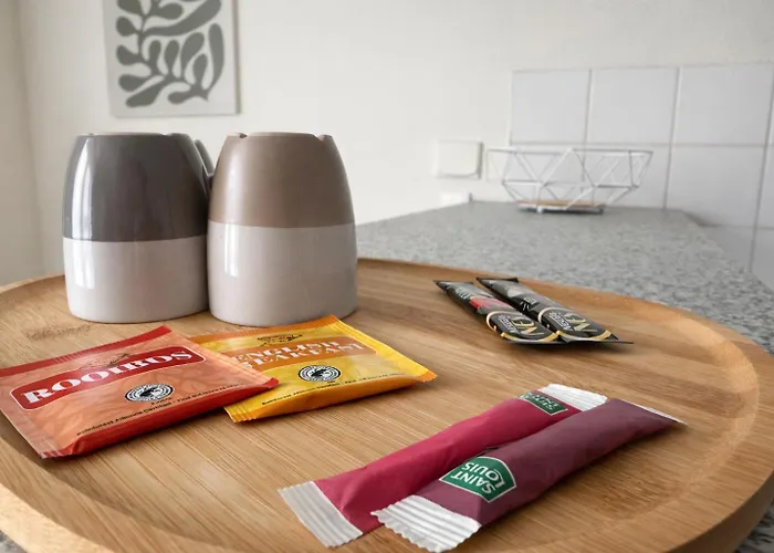 Le Cocon Strasbourgeois Apartment Strasbourg